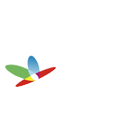 2028����(�й�)���޹�˾����